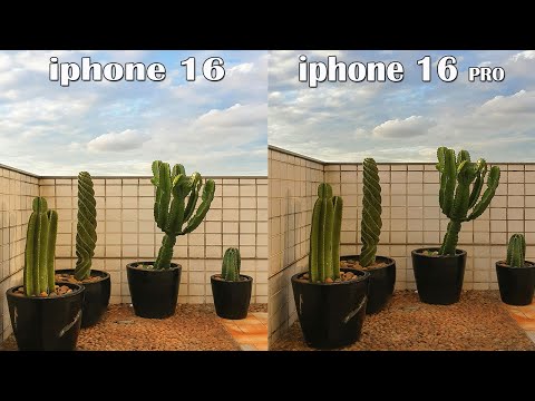 Iphone 16 Vs Iphone 16 Pro Camera Test Comparison