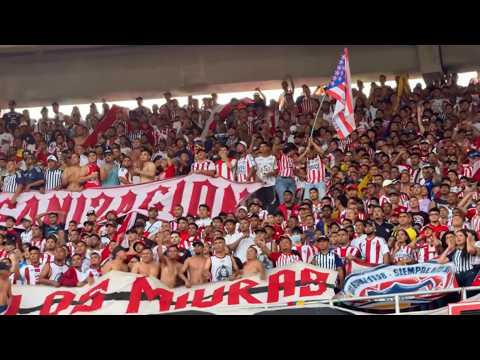 "Yo sé muy bien que pasaré la vida entera" Barra: La Banda de Los Kuervos &bull; Club: Junior de Barranquilla &bull; País: Colombia