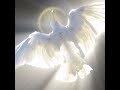 AN ANGEL NAME BISHOP