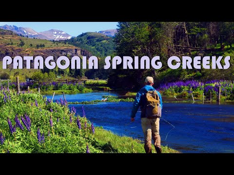 Patagonia Spring Creeks - Browns & Rainbows of Coyhaique Chile.