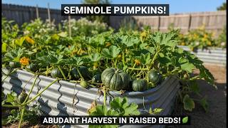 Filling My EXPERIMENTAL Metal Raised Bed for Seminole Pumpkins 🌱🔥 (Will This Work?!)