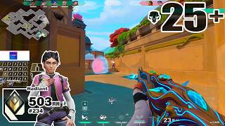 QTD Kippei Clove Lotus RADIANT MVP