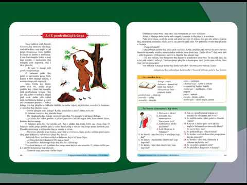 Ionel Cordovan   prezentare manual rromani clasa III