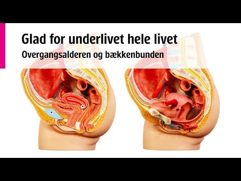 Glad for underlivet, hele livet - Overgangsalder og bækkenbunden