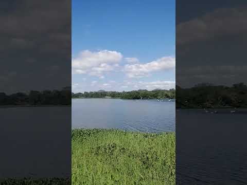 Bien Grifo 4/20😎😎