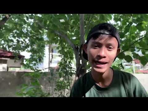 WALAPADA ft DNA ( Official Mv )