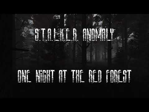S.T.A.L.K.E.R. Anomaly Ambience - One Night at the Red Forest