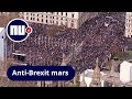 Britten uiten massaal onvrede over Brexit in Londen