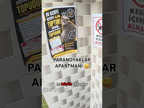 Deliler apartmanına hoşgeldiniz ahhsus #keşfet #motovlog #kurye #kedi #shorts