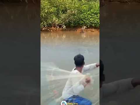 DETIK DETIK PERTARUNGAN SENGIT MACAN VS BUAYA RAWA #animals #shorts