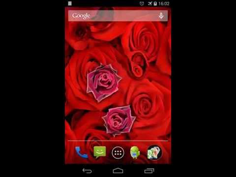 Roses Live Wallpaper Video