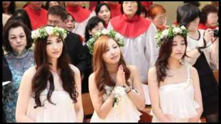 黑人和范范的婚禮