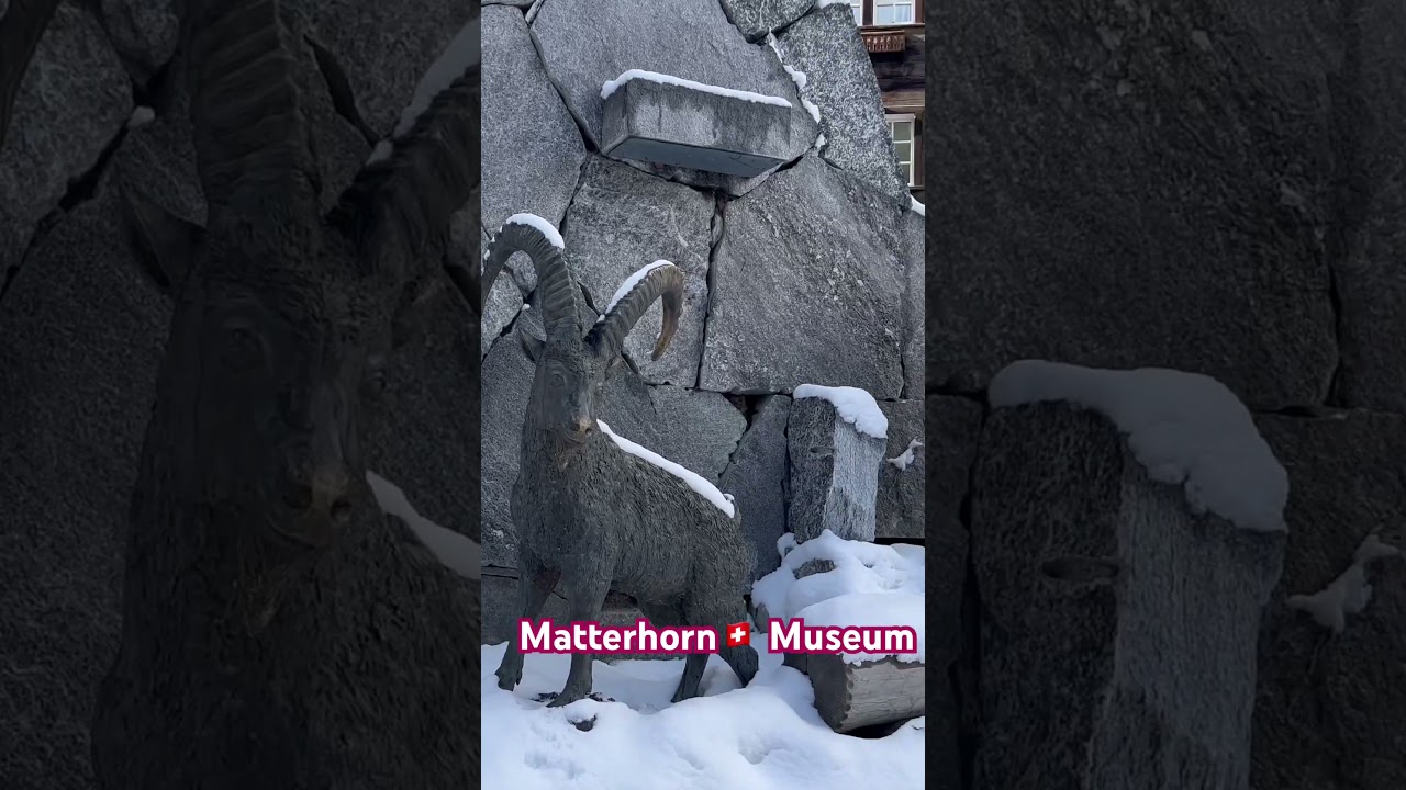 YouTube Short thumbnail