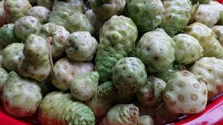 Đau nhức xương khớp đừng bỏ qua trái này