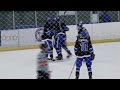 Lawrence Tech Hockey D3 vs UM-Flint | 1/14/22 Highlights
