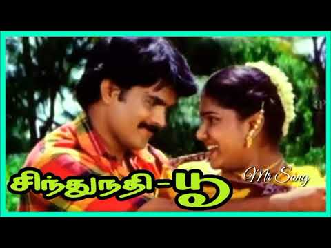Aathi Vadayila | ஆத்தி வாடையில பட்ட மரம் | SOUNDARYAN | Sindhu Nathi Poo Movie | Mr Song