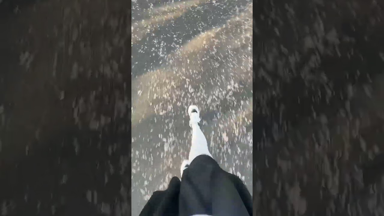 SAKURA PETALS SA BABA🌸❤️