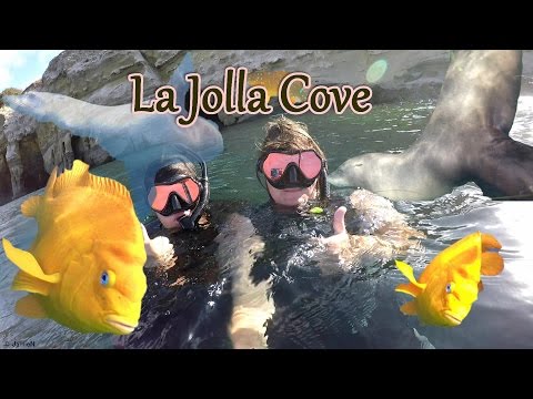La Jolla Cove snorkeling August 2016