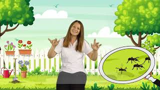 Children's Key Word Signing (KWS) - The Ants Go Marching- Auslan gameplay video by lstan57, 4:03 duration