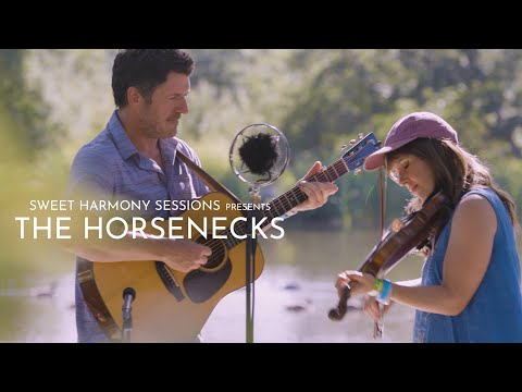 The Horsenecks | "Red Rocking Chair" | California Bluegrass Association x Sweet Harmony