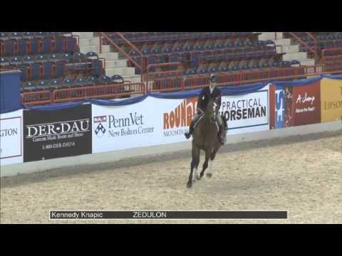 51 ZEDULON Kennedy Knapic, Class 17 Children's Hunter Horse 15 17 OF