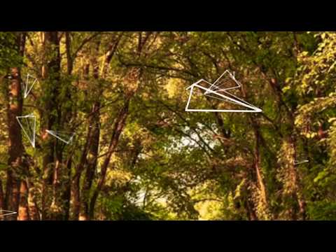 Uşşak makamında ben annemin rüyasıyım