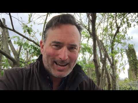 Hans-Georg Gadamer: From the ontology of play to the truth of art.