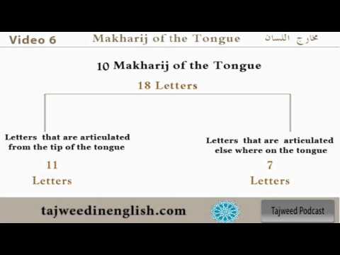 Tajweed lesson 7: Introduction to the tongue makhraj