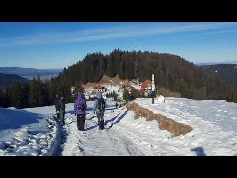 Cab. DIHAM - 1320 m (Georgiana)