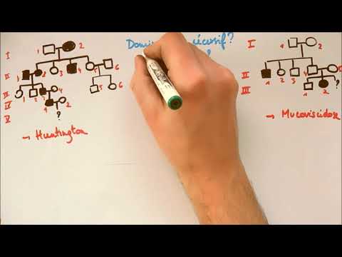 Arbres généalogiques