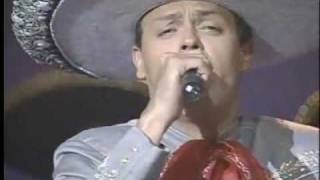 Mi Forma De Sentir Pedro Fernández en Chile (1996)