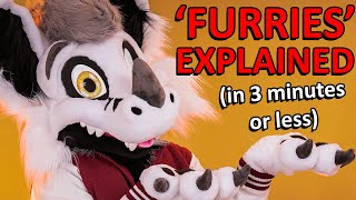 FURRIES EXPLAINED (in 3 minutes or less)