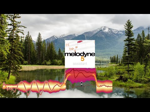 Natural Pitch correction with Melodyne Assistant