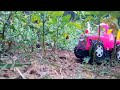 Top Tractor Mini Tractor Raceing Tractor Kidszone965