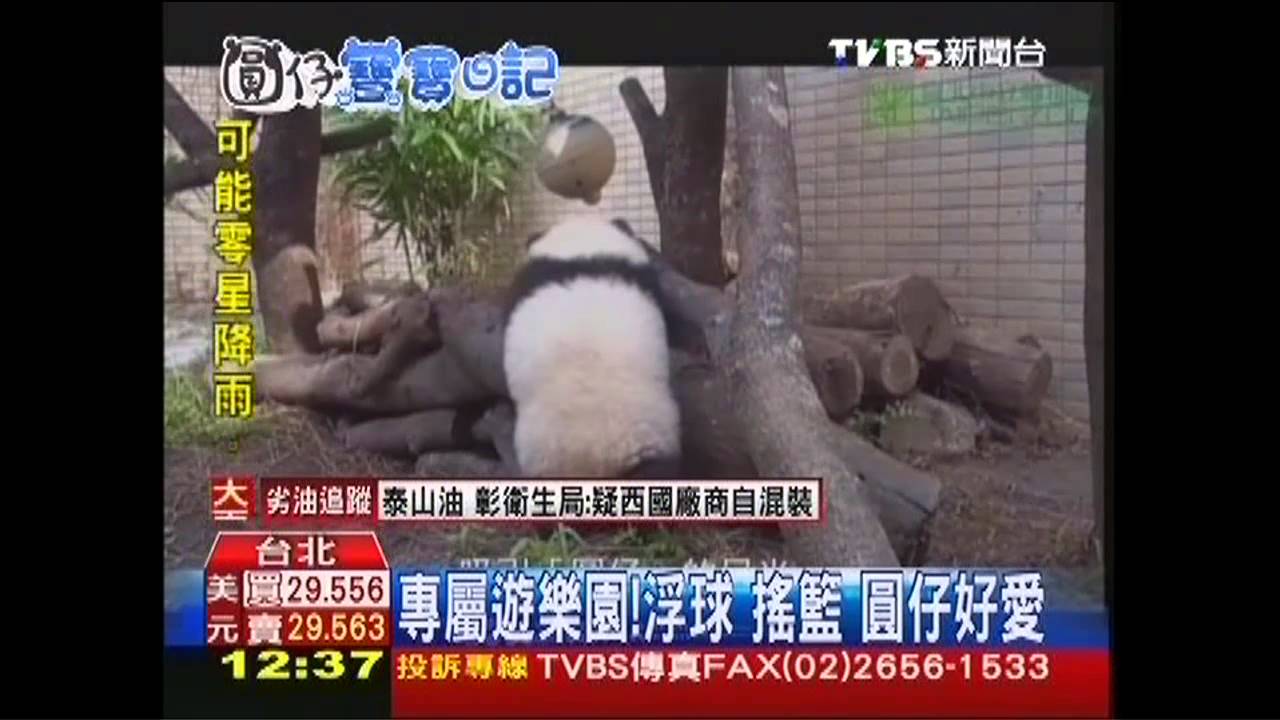 專屬遊樂園!浮球、搖籃 圓仔好愛