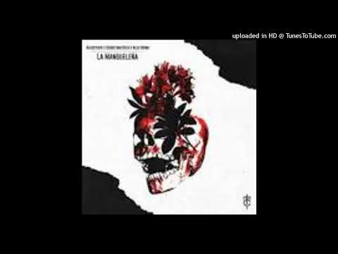 Alex Hoing, Sebastian Reza & Bluckther = La Mangueleña (Original Mix) [Cartel Music]