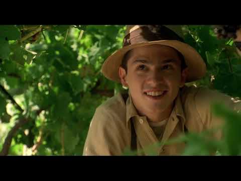 A walk in the Clouds (1995) La Vendimia