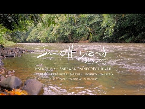 NATURE FIX - Upper Kelapang River/Sarawak/Borneo - 4K (from Small Island Big Song)