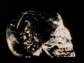 Upscaled Arthur C Clarke S Mysterious World Eps 1 6 Couchtripper U
