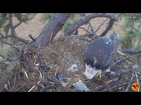 Eagle Country 13.02.2022 09:00