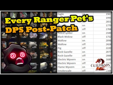 I DPS Tested Every Ranger Pet Post-Patch - Guild Wars 2