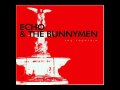 Echo & The Bunnymen Everlasting Neverendless