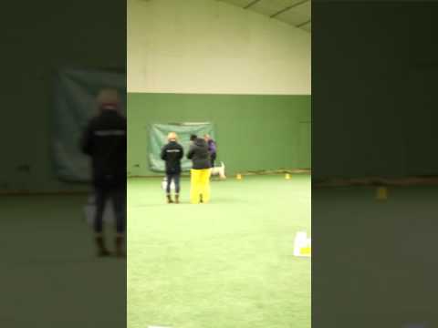 Inan eka rallytokokoe