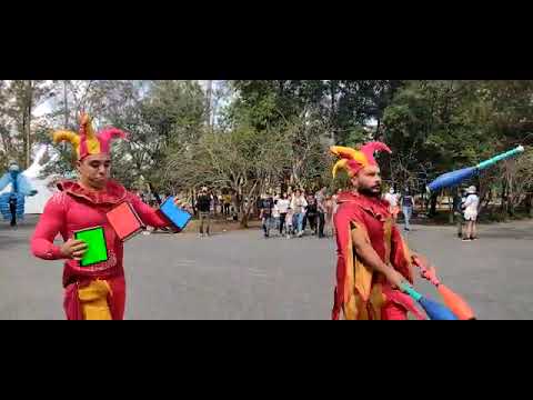 Irreverentus & Co. pasarela