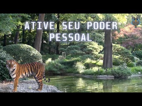 download lagu mp3 mp4 Poder Pessoal, download lagu Poder Pessoal gratis, unduh video klip Poder Pessoal