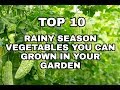 TOP 10 RAINY MONSOON SEASON VEGETABLES YOU CAN GROWN IN YOUR GARDEN