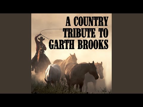 New Way to Fly (from No Fences album) - (Kim Williams, Garth Brooks)