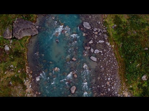 Nanook - Ataasiusutut Misigissuseq/Ilissinnut