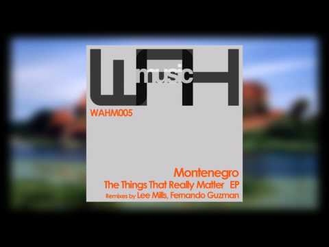 Montenegro - The Things That Really Matter (Original Mix) [We Are Here Music]