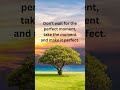 Don T Wait For The Perfect Moment Take The Moment And Make It Perfect